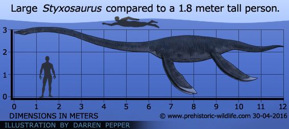 Styxosaurus Styxosaurus