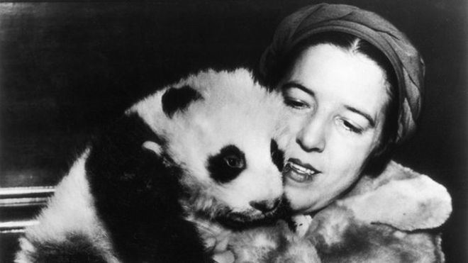 Su Lin (1930s giant panda) Ruth Harkness and Su Lin The first panda to leave China BBC News