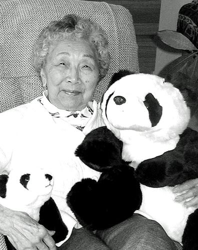 Su Lin (1930s giant panda) Adelaide 39SuLin39 Young 96 Explorer and Panda Namesake The New