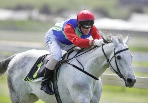 Subzero (horse) CLASSIC ROLE Warrnambool horse chosen to lead cup winners The