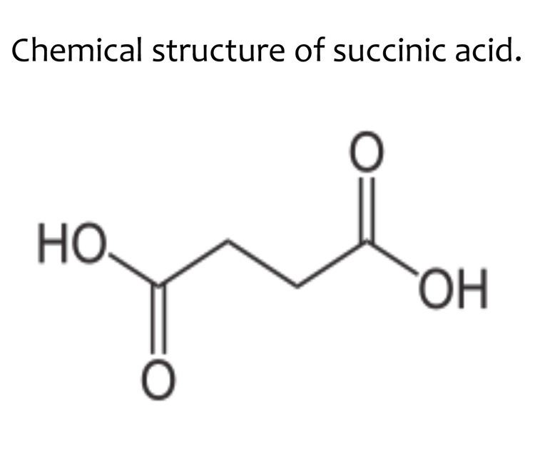 Succinic acid Baltic Amber Teething Necklace Cited Facts Worth Sharing