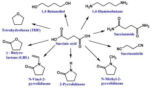 Succinic acid Top Keywords Picture for Succinic Acid Structure