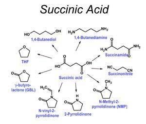 Succinic acid The Quest to Commercialize Biobased Succinic Acid Biomassmagazinecom