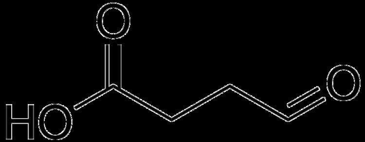 Succinic semialdehyde httpsuploadwikimediaorgwikipediacommons33