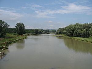 Suceava River httpsuploadwikimediaorgwikipediacommonsthu