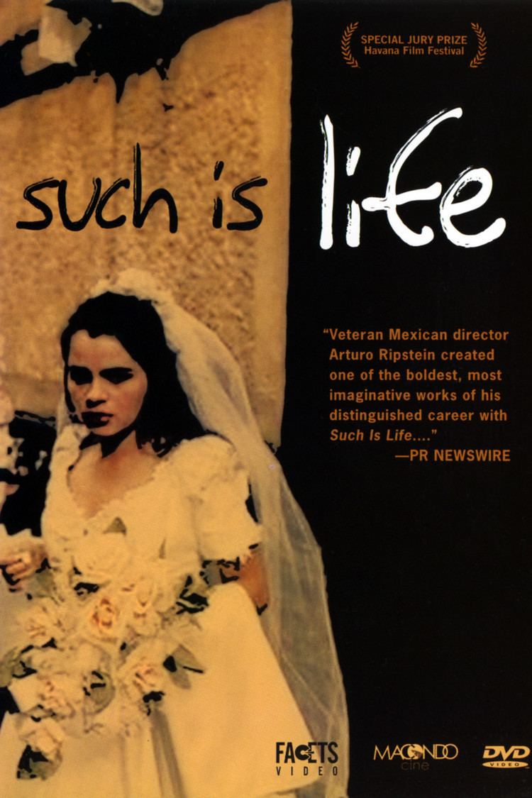 Such Is Life (2000 film) wwwgstaticcomtvthumbdvdboxart28120p28120d