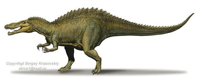 Suchomimus Suchomimus Pictures amp Facts The Dinosaur Database