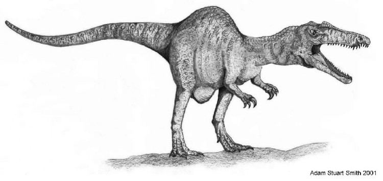 Suchosaurus Suchosaurus Pictures amp Facts The Dinosaur Database