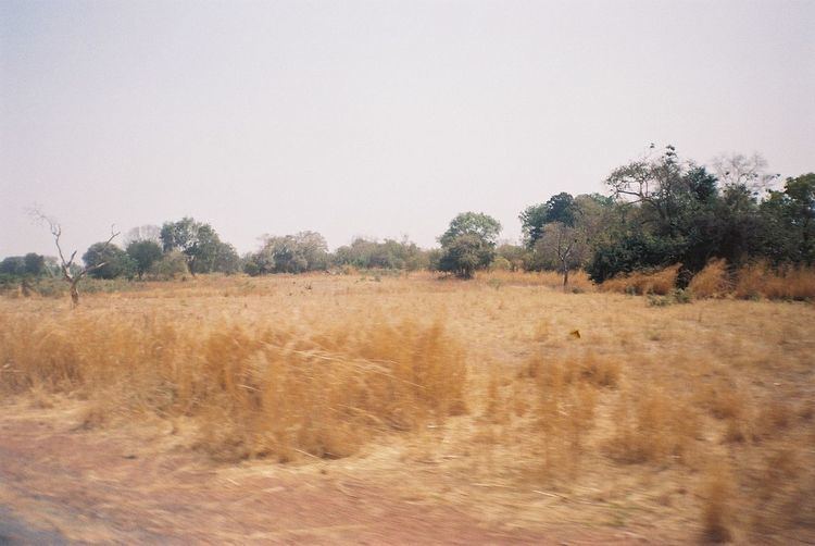 Sudan (region)