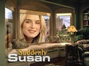 Suddenly Susan Suddenly Susan Series TV Tropes