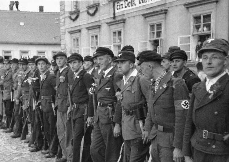 Sudetendeutsches Freikorps