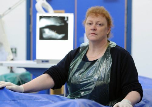 Sue Black (forensic anthropologist) Interview Sue Black professor The Scotsman