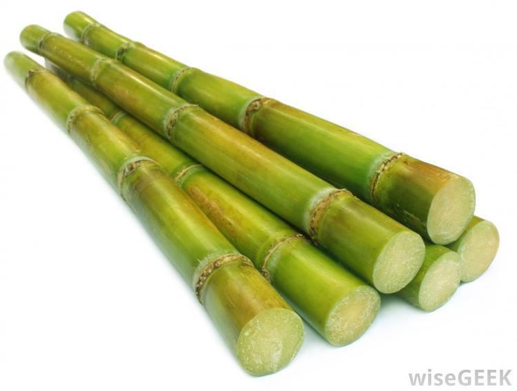 Sugar Cain What is Cane Sugar with pictures