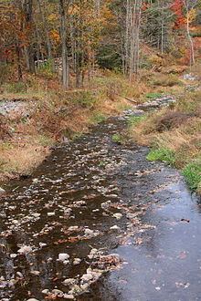 Sugar Hollow Creek httpsuploadwikimediaorgwikipediacommonsthu