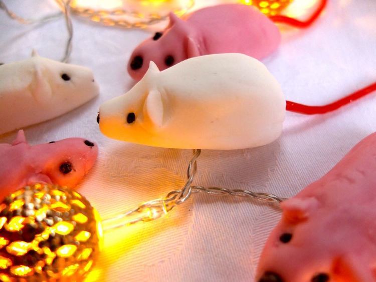 Sugar mice How to Make Sugar Mice Christmas Cooking with Kids