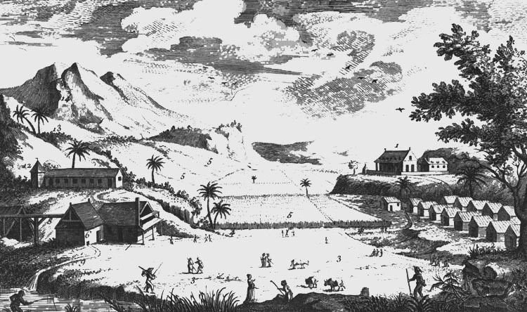 Sugar production in the Danish West Indies