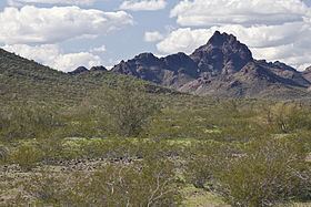 Sugarloaf Mountain (Arizona) httpsuploadwikimediaorgwikipediacommonsthu