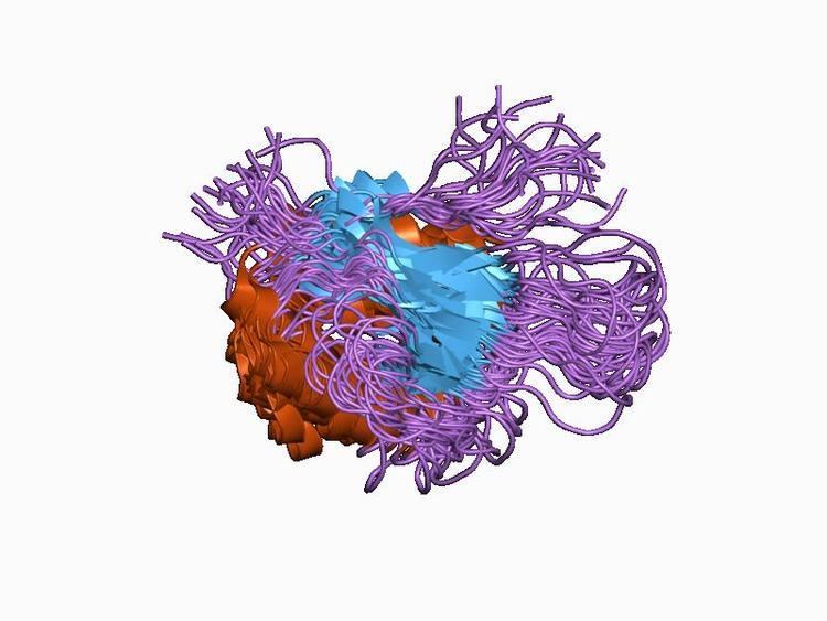 SUI1 protein domain