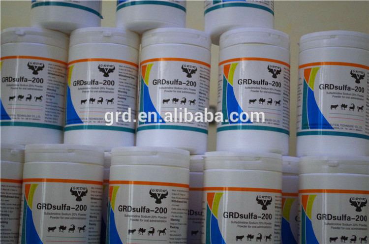 Sulfadimidine GMP manufacture Veterinary drug Sulfadimidine sodium 20 powder for