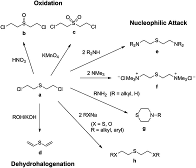 Sulfur mustard Sulfur oxygen and nitrogen mustards stability and reactivity