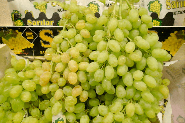Sultana (grape) Allfresch Group LTD AVAILABLE NOW Turkish Sultana Grape