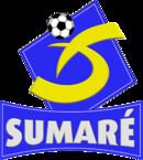 Sumaré Atlético Clube httpsuploadwikimediaorgwikipediaptthumb1