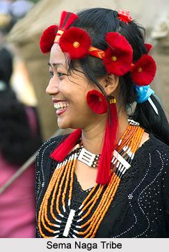 Sumi Naga Naga Tribe Tinsukia District