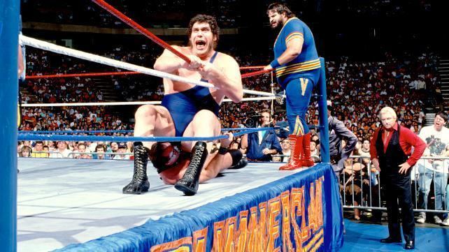 SummerSlam (1989) Looking Back SummerSlam 1989 Review Fight Game Blog