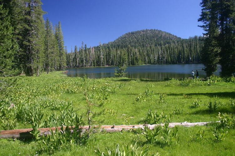 Summit Lake (Reading Peak, Shasta County)