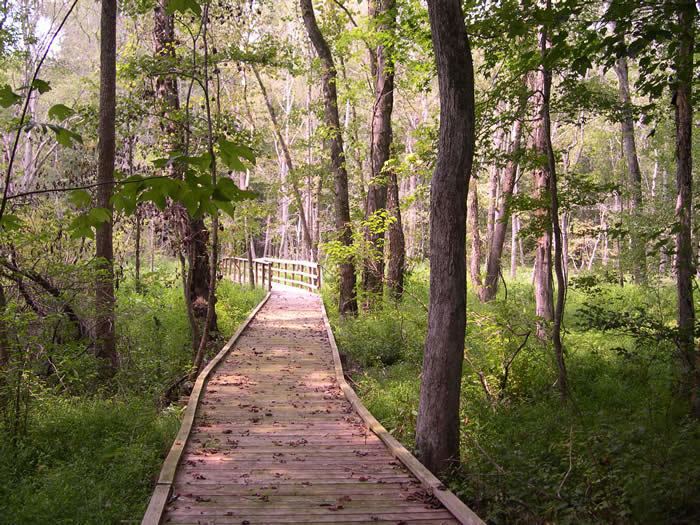 Sumter National Forest Francis Marion and Sumter National Forests Home