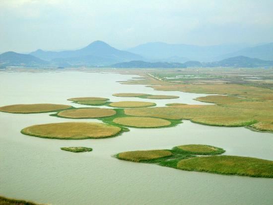 Suncheon Bay Suncheon Bay Picture of Suncheon Bay Cyber Ecological Park
