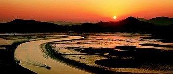 Suncheon Bay httpsuploadwikimediaorgwikipediacommonsthu