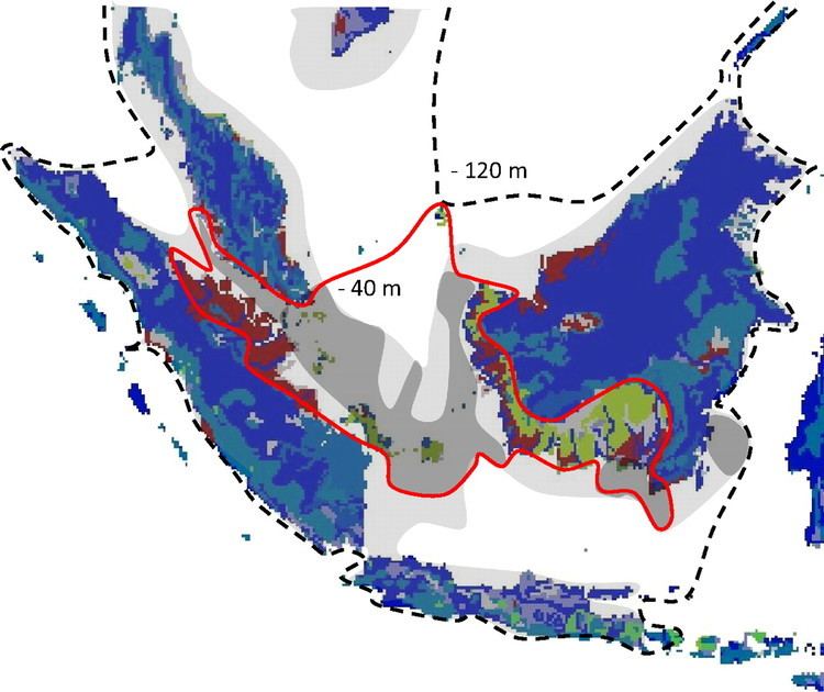 Sunda Shelf Soils on exposed Sunda Shelf shaped biogeographic patterns in the