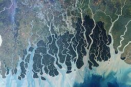 Sundarbans httpsuploadwikimediaorgwikipediacommonsthu