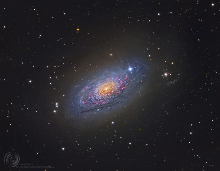 Sunflower Galaxy APOD 2014 March 13 Messier 63 The Sunflower Galaxy