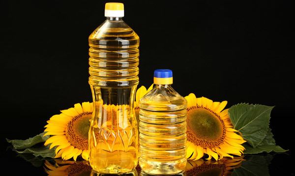 Sunflower oil 20 Best Benefits Of Sunflower Oil Surajmukhi Tel For Skin Hair