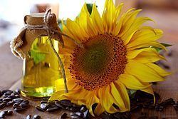 Sunflower oil Sunflower oil Wikipedia