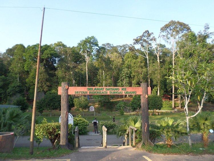 Sungai Udang Recreational Forest