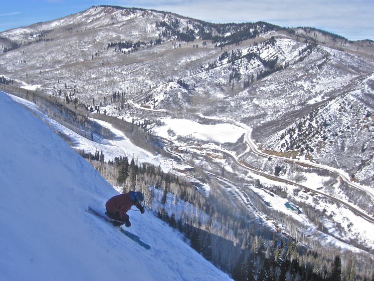 Sunlight Ski Area Skiing amp Snowboarding Sunlight Mountain Colorado Ski Visitors Guide