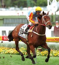 Sunline Sunline Champion Australian Mare