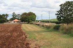 Sunnyside Sugar Plantation httpsuploadwikimediaorgwikipediacommonsthu