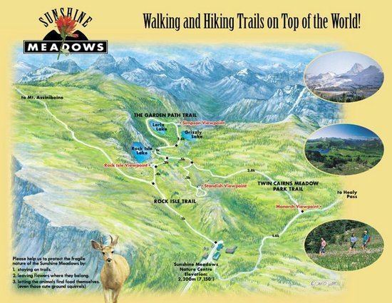 Sunshine Meadows Sunshine Meadows Banff Alberta Top Tips Before You Go TripAdvisor