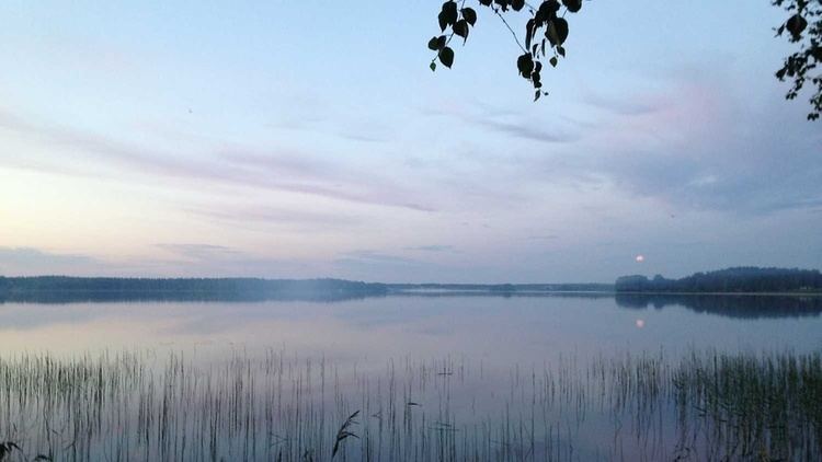 Suomen Luonto Suomen luonto inspiroi katso kuvakilpailun upeat