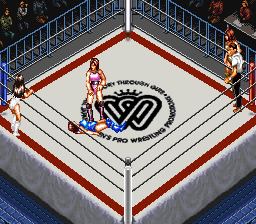 Super Fire Pro Wrestling: Queen's Special Super Fire Pro Wrestling Queens Special Japan ROM SNES ROMs