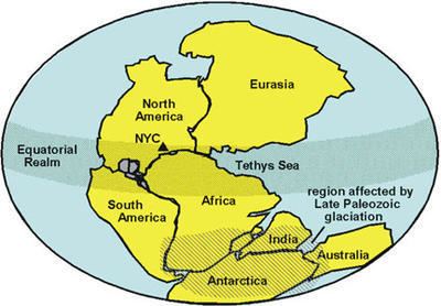 Supercontinent Supercontinent cycles Learning Geology