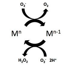 Superoxide dismutase mimetics