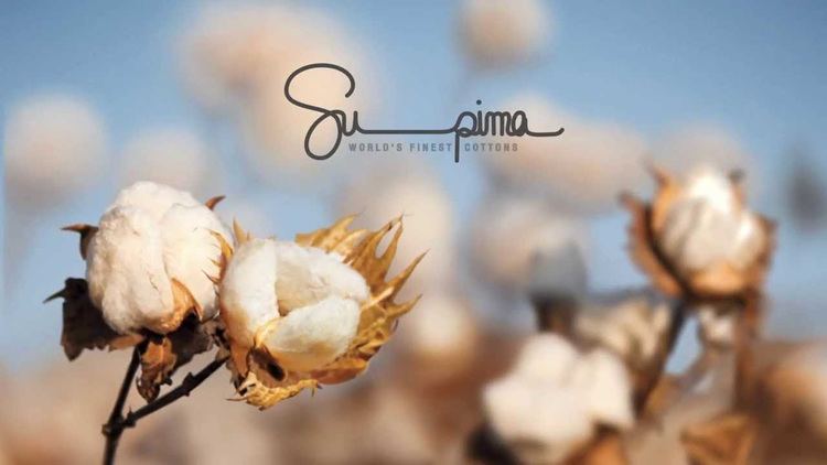 Supima Supima World39s Finest Cottons