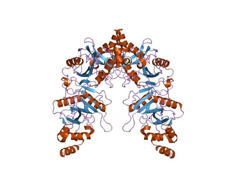 Suppressor of fused Sufu protein N terminal domain