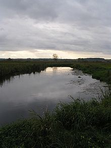 Supraśl (river) httpsuploadwikimediaorgwikipediacommonsthu