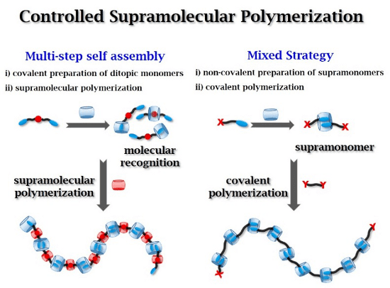 Supramolecular polymers Xi39s GroupResearch